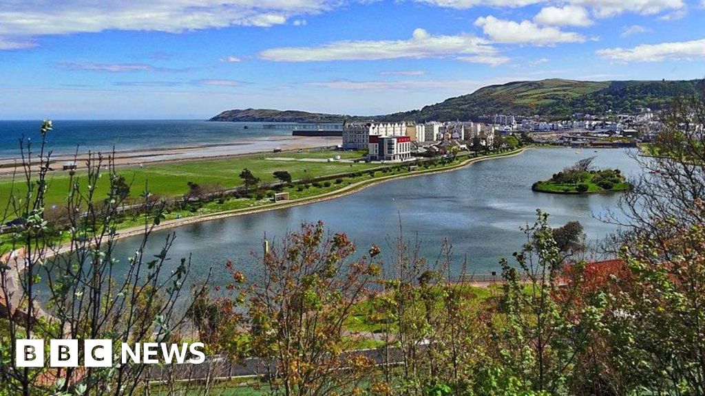 Bid to make boating lake a winter bird h