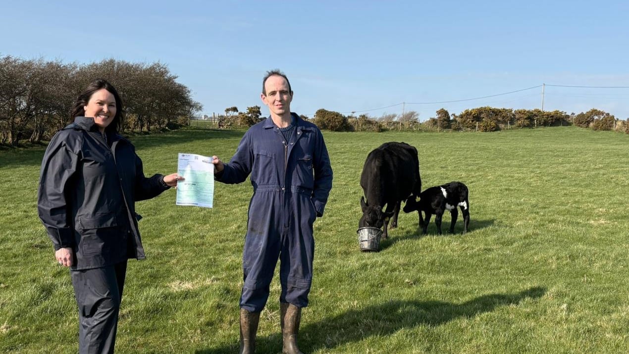 First calf on new cattle traceability sc