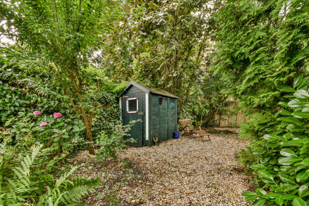 Last chance to have say on rules for she