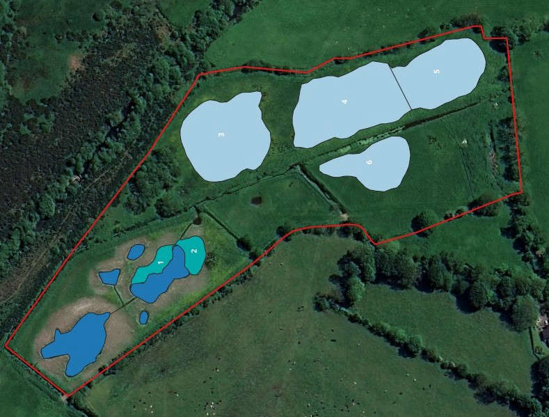 Plans unveiled for new Patrick wetland