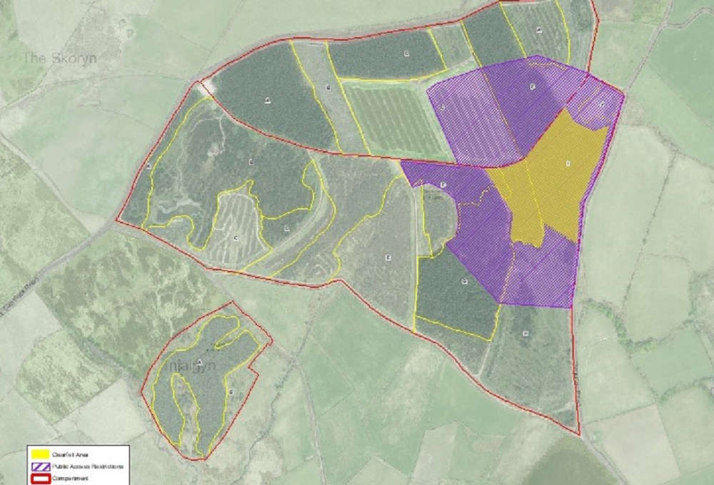 Plantation to close for tree felling wor