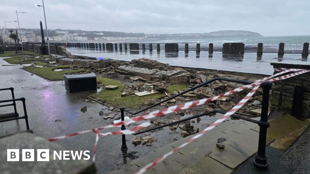 Sea wall extension plea after gardens da