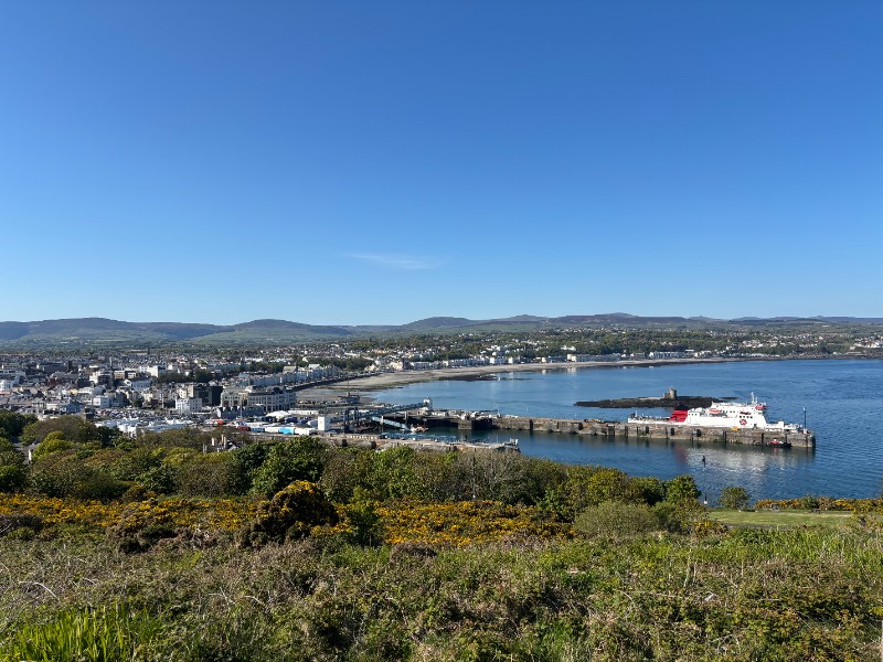 What we can expect in 2026