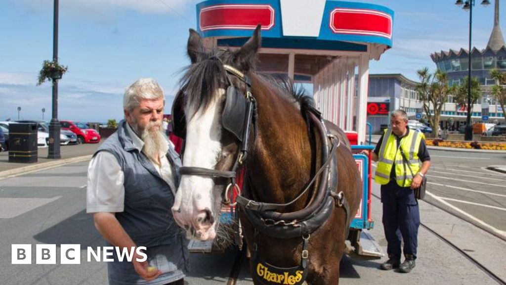 Why do horse trams stop halfway along th